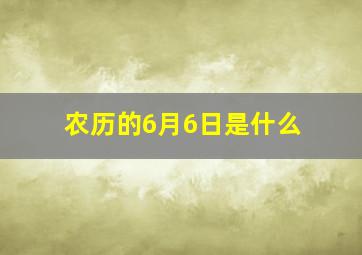 农历的6月6日是什么