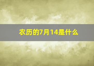 农历的7月14是什么