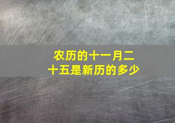 农历的十一月二十五是新历的多少