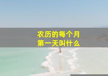 农历的每个月第一天叫什么