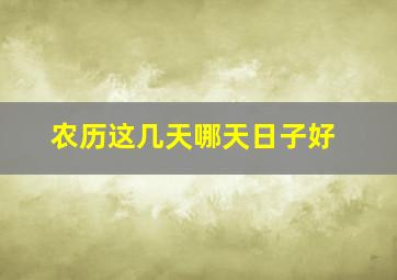 农历这几天哪天日子好