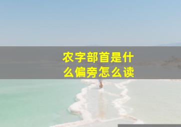 农字部首是什么偏旁怎么读