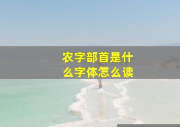 农字部首是什么字体怎么读