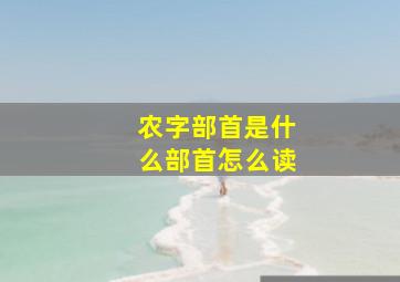 农字部首是什么部首怎么读