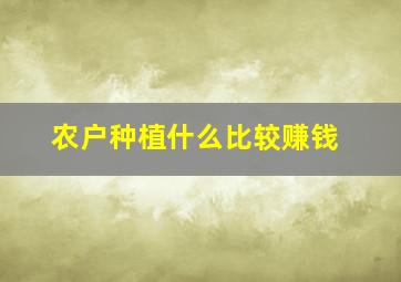 农户种植什么比较赚钱