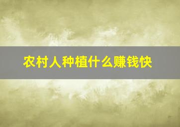 农村人种植什么赚钱快