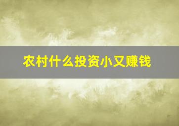 农村什么投资小又赚钱