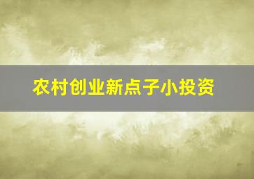 农村创业新点子小投资