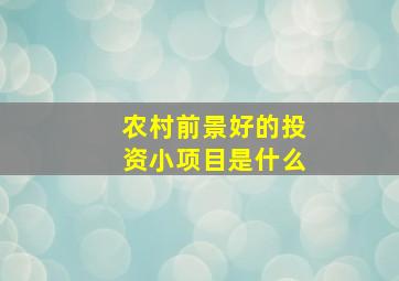 农村前景好的投资小项目是什么