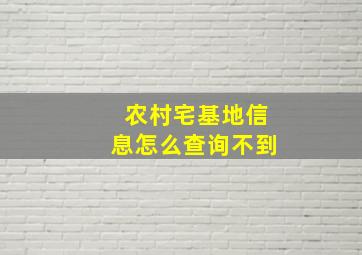 农村宅基地信息怎么查询不到