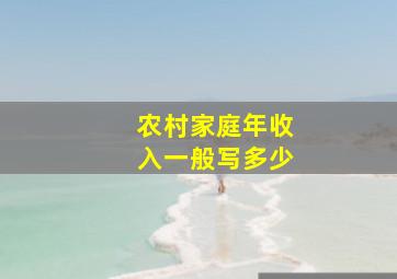 农村家庭年收入一般写多少