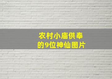 农村小庙供奉的9位神仙图片