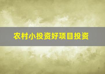 农村小投资好项目投资