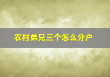 农村弟兄三个怎么分户