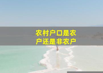 农村户口是农户还是非农户