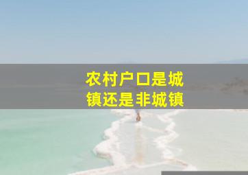 农村户口是城镇还是非城镇