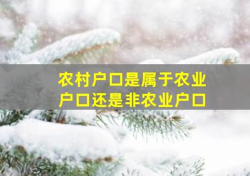 农村户口是属于农业户口还是非农业户口