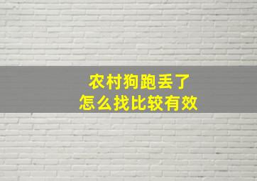 农村狗跑丢了怎么找比较有效