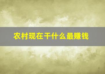 农村现在干什么最赚钱