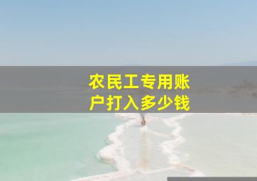 农民工专用账户打入多少钱