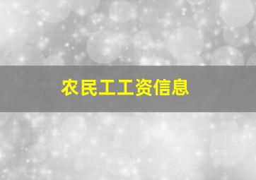 农民工工资信息