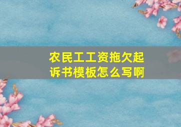 农民工工资拖欠起诉书模板怎么写啊