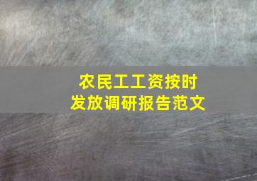 农民工工资按时发放调研报告范文