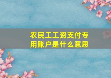 农民工工资支付专用账户是什么意思