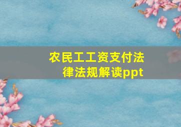 农民工工资支付法律法规解读ppt