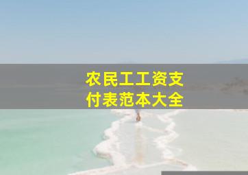 农民工工资支付表范本大全