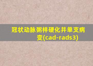 冠状动脉粥样硬化并单支病变(cad-rads3)