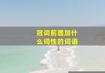 冠词前面加什么词性的词语