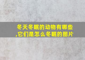 冬天冬眠的动物有哪些,它们是怎么冬眠的图片