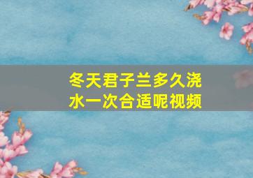 冬天君子兰多久浇水一次合适呢视频