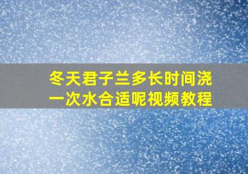 冬天君子兰多长时间浇一次水合适呢视频教程