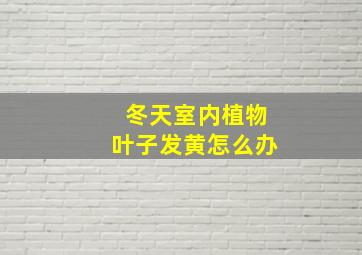 冬天室内植物叶子发黄怎么办