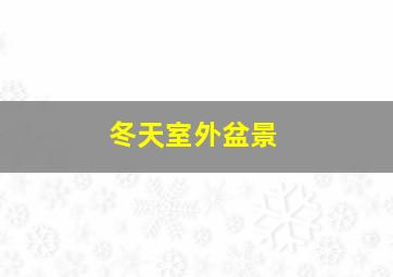 冬天室外盆景