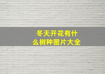 冬天开花有什么树种图片大全