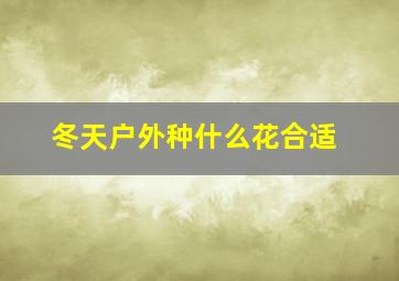 冬天户外种什么花合适