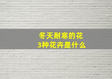 冬天耐寒的花3种花卉是什么