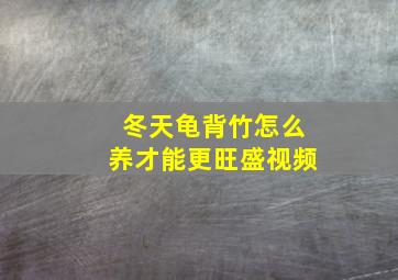 冬天龟背竹怎么养才能更旺盛视频