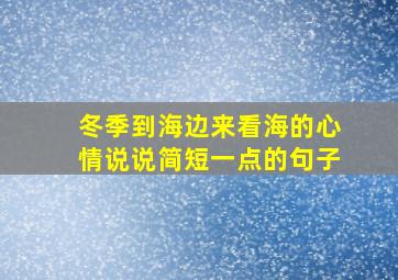 冬季到海边来看海的心情说说简短一点的句子