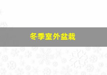 冬季室外盆栽