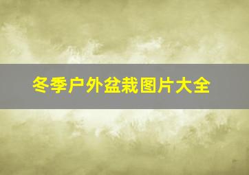 冬季户外盆栽图片大全