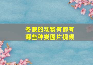 冬眠的动物有都有哪些种类图片视频