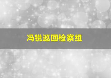 冯锐巡回检察组