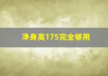 净身高175完全够用