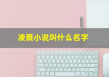 凌薇小说叫什么名字