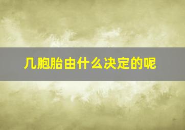 几胞胎由什么决定的呢