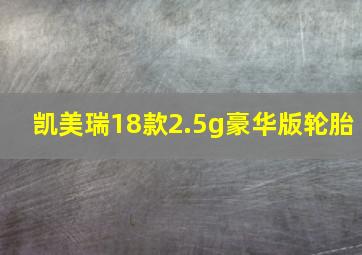 凯美瑞18款2.5g豪华版轮胎